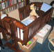 Walnut and Lacewood Baby Cradle
