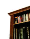 Rustic Bookcase